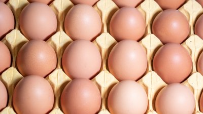 A carton of fresh free range eggs on a white background
