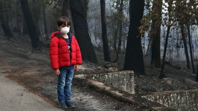 Boy in a red coat standing near burned woods