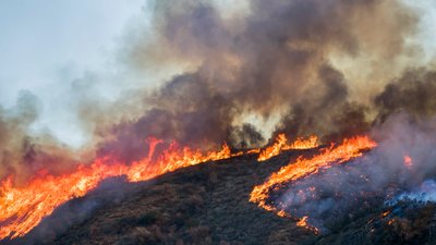 Brush and Tree Landscape Burning with Flame and Smoke During California Wildfire