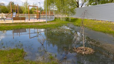 City park featuring a puddle of stagnant water