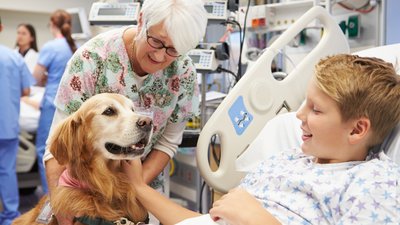Therapy Dog Visiting Young Male Patient In Hospital